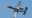 A-10 Thunderbolt II in flight
