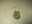 Product 3289 photo 1