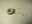 Product 3289 photo 2