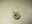 Product 3289 photo 3